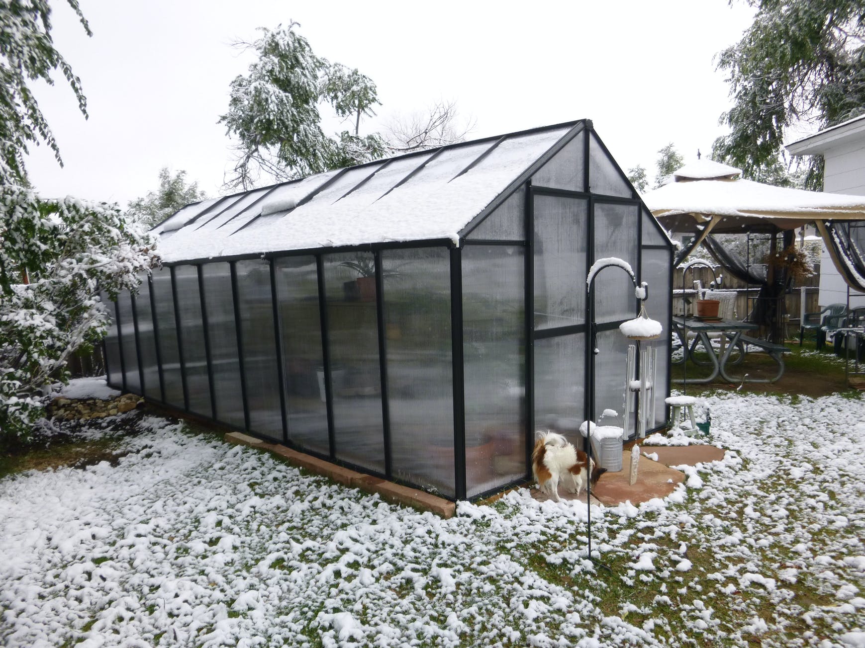 Embrace Winter Gardening: Why You Should Buy a Greenhouse During the Cold Season