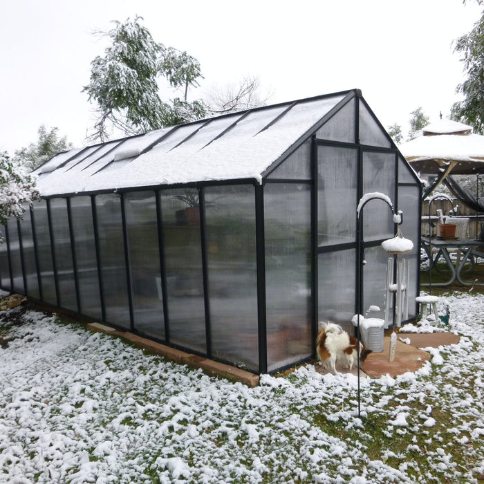 Embrace Winter Gardening: Why You Should Buy a Greenhouse During the Cold Season